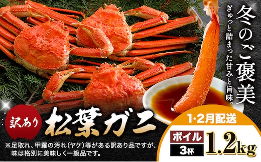 カニ 松葉ガニ 訳あり 400g ボイル 3杯《1月・2月発送》 SOO合同会社 鳥取県 八頭町 送料無料 蟹 かに 姿 鍋 ズワイガニ ズワイ蟹 ボイル 松葉ガニ 訳アリ---yazu_soo_168_400g---
