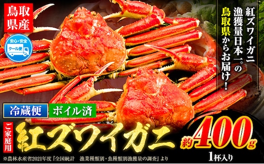 ＼12/23決済完了分まで年内配送／訳あり カニ 紅ズワイガニ 400g(1枚)《2025年9月中旬-2026年6月中旬頃に出荷予定》鳥取県 八頭町 送料無料 蟹 かに 姿 鍋 ズワイガニ ベニズワイガニ ズワイ蟹 ボイル 冷蔵便 within2024---yazu_zsy_73_1---