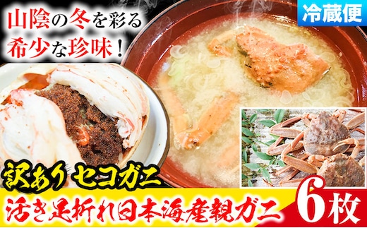 【先行予約】【活き】訳あり 足折れ 日本海産 親ガニ セコガニ 6枚(甲羅のサイズ7.5~8.5cm) 高間商店《11月中旬-1月中旬頃出荷》鳥取県 八頭町 送料無料 カニ 蟹 かに 訳あり 足折れ 鍋 珍味 ズワイガニ---yazu_tkm2_146_6---