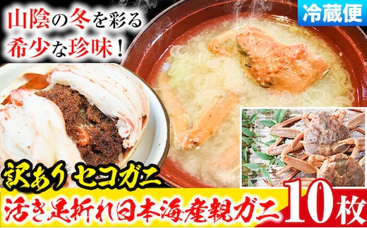 【先行予約】【活き】訳あり 足折れ 日本海産 親ガニ セコガニ 10枚(甲羅のサイズ7.5~8.5cm) 高間商店《11月中旬-1月中旬頃出荷》鳥取県 八頭町 送料無料 カニ 蟹 かに 訳あり 足折れ 鍋 珍味 ズワイガニ---yazu_tkm2_147_10---