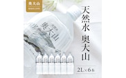 天然水奥大山 2リットル 1箱(6本入り) ミネラルウォーター 軟水 ペットボトル 2L みず PET 0532