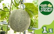 Ton de メロン 1玉【ペルルグリーンメロン アールスヴェルダメロン フルーツ 果物 美味しい 甘い 芳醇 しっとり 上品 旬 ご褒美 ギフト 贈り物 ご自宅用 安来 島根県 安来市】【10-FA-04】