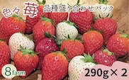 【先行予約】「色々苺」品種盛り合わせパック 品種かわかるメモ付【食べ比べ いちご 約290g×2パック 苺 冷蔵 安来】【13-FA-01】