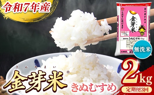BG無洗米・金芽米きぬむすめ 2kg×3ヵ月 定期便【毎月】【令和7年産 3ヶ月 時短 健康 米 BG 無洗米 計6kg 島根県産 新生活応援 お試し 節水 時短 アウトドア キャンプ 東洋ライス 健康 島根県 安来市】【価格改定】