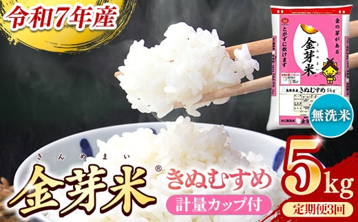 BG無洗米・金芽米きぬむすめ 5kg×3ヵ月 定期便【毎月】計量カップ付き【令和7年産 3ヶ月 計15kg 東洋ライス 健康 島根県 安来市】【価格改定】