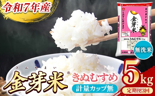BG無洗米・金芽米きぬむすめ 5kg×3ヵ月 定期便【毎月】計量カップなし【令和7年産 3ヶ月 計15kg 東洋ライス 健康 島根県 安来市】【価格改定】