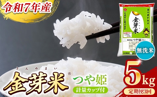 BG無洗米・金芽米つや姫 5kg×3ヵ月 定期便【毎月】計量カップ付き【令和7年産 時短 健康 特別栽培米 うまみ 甘み 栄養 おいしい 粒ぞろい ふっくら ビタミン ミネラル 島根県 安来市】【価格改定X】