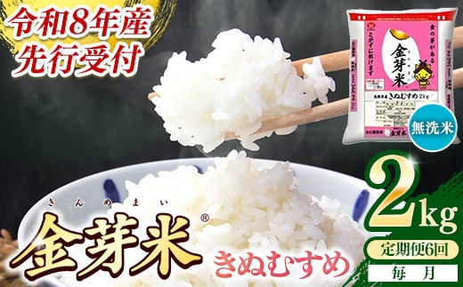 【定期便】BG無洗米・金芽米きぬむすめ 2kg×6ヵ月 （毎月）【令和8年産 6ヶ月 時短 健康 米 BG 無洗米 計12kg 精米 半年間 島根県産 節水 時短 アウトドア キャンプ 東洋ライス おすすめ 島根県 安来市】【36-SS-24】