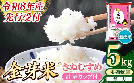【定期便】BG無洗米・金芽米きぬむすめ 5kg×6ヵ月 （毎月）計量カップ付き【令和8年産 6ヶ月 計30kg 東洋ライス 健康 島根県 安来市】【価格改定】【69-SS-04】