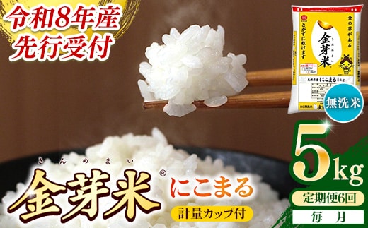 【定期便】BG無洗米・金芽米にこまる 5kg×6ヵ月 （毎月）計量カップ付き【令和8年産 6ヶ月 計30kg 東洋ライス 健康 島根県 安来市】【価格改定】【69-SS-12】