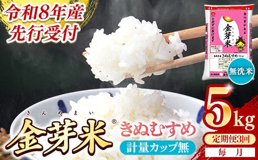 【定期便】BG無洗米・金芽米きぬむすめ 5kg×3ヵ月 （毎月）計量カップなし【令和8年産 3ヶ月 計15kg 東洋ライス 健康 島根県 安来市】【価格改定XA】【35-SS-57-2】