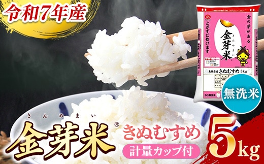 BG無洗米・金芽米きぬむすめ 5kg 計量カップ無し【令和7年産 節水 健康 ビタミン ミネラル つや お弁当 おいしい うまみ 甘み ふっくら 時短 簡単 島根県 安来市】【価格改定X】