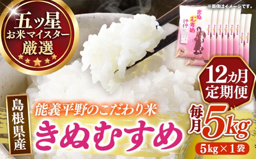 【定期便】五ツ星お米マイスター厳選 能義平野のきぬむすめ 5kg×12ヵ月 【令和7年産 ５KG 12ヶ月 毎月 計60kg 精米 白米 ご飯 お米 美味しい 安心 安全 沼田米穀店 島根県 安来市】【132-NB-08】