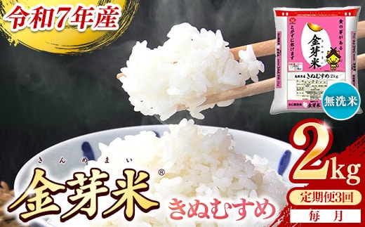 【定期便】BG無洗米・金芽米きぬむすめ 2kg×3ヵ月（毎月）【令和7年産 3ヶ月 時短 健康 米 BG 無洗米 計6kg 島根県産 新生活応援 お試し 節水 時短 アウトドア キャンプ 東洋ライス 健康 島根県 安来市】【価格改定XA】【21-SS-58】
