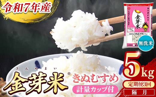 【定期便】BG無洗米・金芽米きぬむすめ 5kg×3回 （隔月）計量カップ付き【令和7年産 2ヶ月に1回 6ヶ月 計15kg 東洋ライス 健康 島根県 安来市】