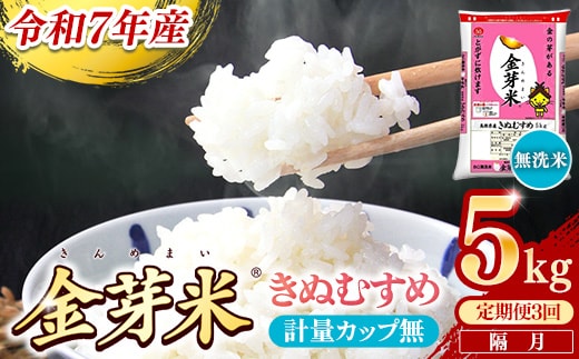 【定期便】BG無洗米・金芽米きぬむすめ 5kg×3回 （隔月）計量カップ無し【令和7年産 2ヶ月に1回 6ヶ月 計15kg 東洋ライス 健康 島根県 安来市】
