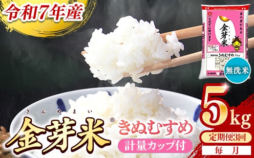 【定期便】BG無洗米・金芽米きぬむすめ 5kg×3ヵ月 （毎月）計量カップ付き【令和7年産 3ヶ月 計15kg 東洋ライス 健康 島根県 安来市】【価格改定X】