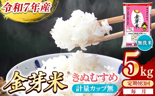 【定期便】BG無洗米・金芽米きぬむすめ 5kg×3ヵ月 （毎月）計量カップなし【令和7年産 3ヶ月 計15kg 東洋ライス 健康 島根県 安来市】【価格改定X】