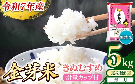 【定期便】BG無洗米・金芽米きぬむすめ 5kg×6ヵ月 （毎月）計量カップ付き【令和7年産 6ヶ月 計30kg 東洋ライス 健康 島根県 安来市】