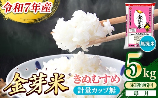 【定期便】BG無洗米・金芽米きぬむすめ 5kg×6ヵ月 （毎月）計量カップ無し【令和7年産 6ヶ月 計30kg 東洋ライス 健康 島根県 安来市】