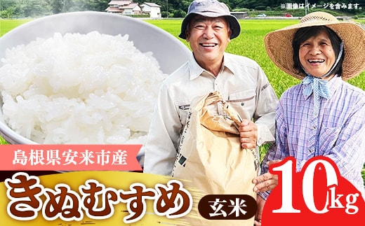 島根県安来市産 きぬむすめ 玄米 10kg 【令和7年産 新米 お米 こめ コメ 米 ごはん ご飯 国産 お弁当 美味しい 人気 おすすめ 島根県 安来市】【価格変更】
