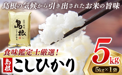 【新米 先行受付】食味鑑定士厳選 島根こしひかり 5kg（5kg×1袋）【米 コシヒカリ 令和7年産 先行予約 新米予約 精米 島根県 安来市】