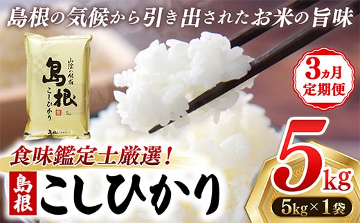【定期便 3か月】食味鑑定士厳選 島根こしひかり 5kg（5kg×1袋）【白米 コシヒカリ 令和7年産 精米 島根県 安来市】【50-UF-06】