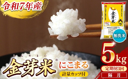 【定期便】BG無洗米・金芽米にこまる 5kg×3回 （隔月）計量カップ付き【令和7年産 2ヶ月に1回 6ヶ月 計15kg 東洋ライス 健康 島根県 安来市】
