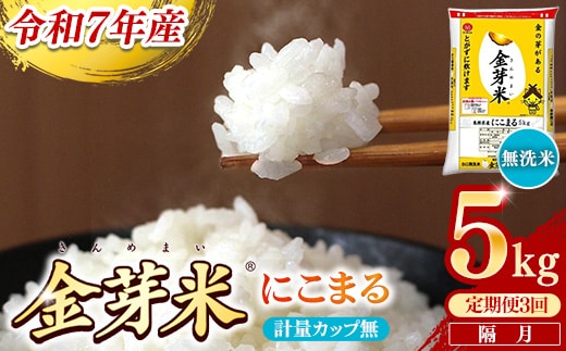 【定期便】BG無洗米・金芽米にこまる 5kg×3回 （隔月）計量カップ無し【令和7年産 2ヶ月に1回 6ヶ月 計15kg 東洋ライス 健康 島根県 安来市】