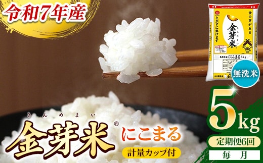 【定期便】BG無洗米・金芽米にこまる 5kg×6ヵ月 （毎月）計量カップ付き【令和7年産 6ヶ月 計30kg 東洋ライス 健康 島根県 安来市】