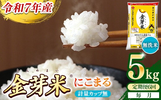【定期便】BG無洗米・金芽米にこまる 5kg×6ヵ月 （毎月）計量カップ無し【令和7年産 6ヶ月 計30kg 東洋ライス 健康 島根県 安来市】
