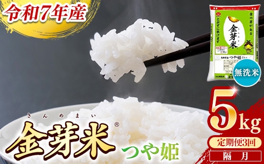 【定期便】BG無洗米・金芽米つや姫 5kg×3回 （隔月）【令和7年産 2ヶ月に1回 配送 6ヶ月 計15kg 半年間 島根県産 健康 節水 時短 アウトドア キャンプ 東洋ライス おすすめ 島根県 安来市】