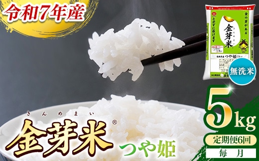 【定期便】BG無洗米・金芽米つや姫 5kg×6ヵ月 （毎月）【令和7年産 6ヶ月 時短 健康 米 BG 無洗米 計30kg 精米 半年間 島根県産 節水 アウトドア キャンプ 東洋ライス おすすめ 島根県 安来市】
