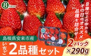 【先行予約】イチゴ2品種 2パックセット【食べ比べ いちご 約290g×2パック 苺 冷蔵 安来】【価格変更】【09-FA-02】