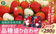 【先行予約】「色々苺」品種盛り合わせパック 品種かわかるメモ付【食べ比べ いちご 約290g×2パック 苺 冷蔵 安来】【13-FA-01】