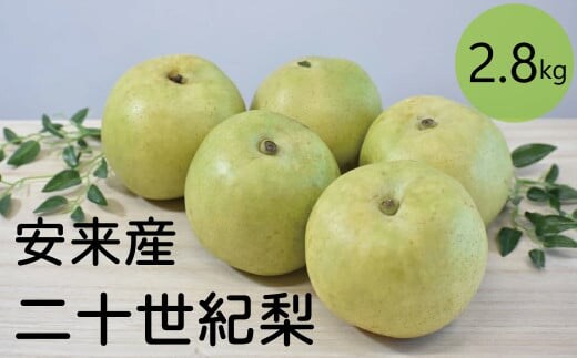 二十世紀梨 2.8kg【先行受付 2026年 発送 梨 なし ナシ 20世紀 美味しい みずみずしい 期間限定 先行予約】【18-JY-16】