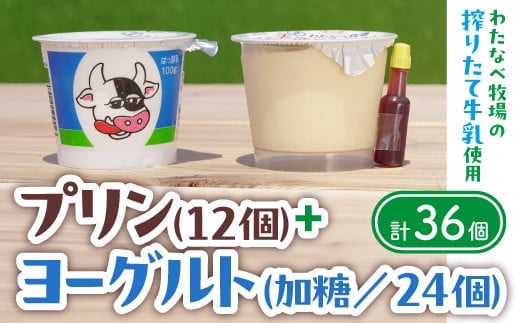 わたなべ牧場のヨーグルト24個・プリン12個セット【ヨーグルト 手造りプリン 詰合せ セット しぼりたて 化学合成物質不使用 こだわり 甘み 蒸しプリン 島根県 安来市】 