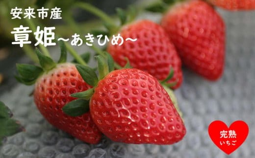 いちご 章姫 2パックセット［島根県安来産 完熟いちご］【 先行予約 受付 完熟 苺 イチゴ 島根県産 甘い 人気 特産品 高級 フルーツ デザート 】