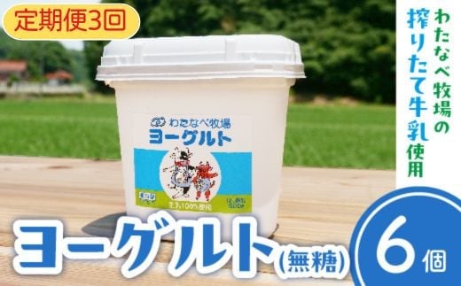 【定期便3回】ヨーグルト500ｇ（プレーン）6個セット【無糖 ネッカ牛乳 ノンホモ製法 セット 搾りたて 栄養 こだわり おやつ デザート 朝食 スイーツ 自然派 化学合成物質不使用 安心 乳製品 乳酸菌 腸活 健康 定期便 島根県 安来市】