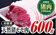江の川shishi 未経産 猪肉 600g AI-1 いのしし肉 イノシシ肉 モモ肉 ジビエ メス AI-1