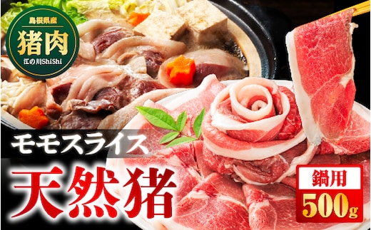 天然猪 江の川shishi 猪モモスライス 鍋用 500g （ 2～3人前 ） AI-5