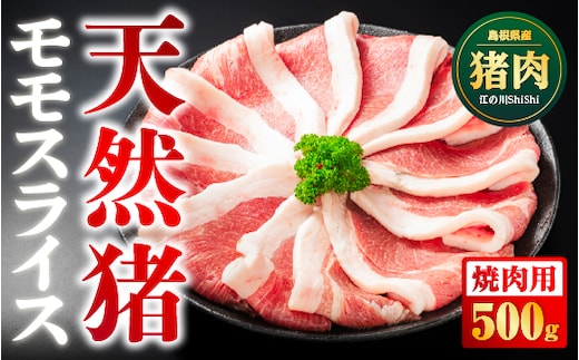 天然猪 江の川shishi 猪モモスライス 焼肉用 500g （ 2～3人前 ） AI-6