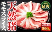 天然猪 江の川shishi 猪モモスライス 焼肉用 500g （ 2～3人前 ） AI-6