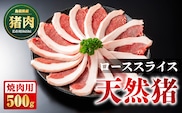 天然猪 ローススライス 焼き肉用 500g AI-9 猪肉 いのしし肉 イノシシ肉 ジビエ ロース ロース肉 スライス 焼き肉用 焼き肉 焼肉 500g 贈り物 贈答品