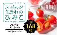 スパルタ生まれのひみこ ミニトマト約120g×14パック【配送不可：離島】 ひみこ ミニトマト フルーツトマト トマト 完熟 産地直送 GC-20