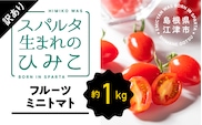 【訳あり】スパルタ生まれのひみこ フルーツミニトマト 約1kg【配送不可：離島】 訳あり ひみこ ミニトマト フルーツトマト トマト 完熟 産地直送 GC-17