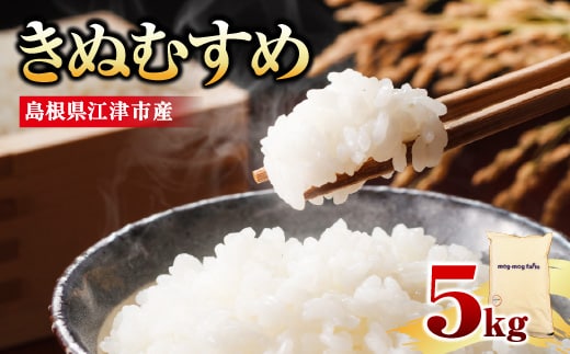 【先行予約】【R8年度産】島根県江津市 きぬむすめ 白米 5kg ※発送直前精米※ MG-3｜ 島根県江津市産 国産 米 白米 精米 きぬむすめ ごはん ご飯 白飯 弁当 おにぎり 5キロ