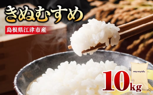 【先行予約】【R8年度産】島根県江津市 きぬむすめ 白米 10kg ※発送直前精米※ MG-4｜ 島根県江津市産 国産 米 白米 精米 きぬむすめ ごはん ご飯 白飯 弁当 おにぎり 10キロ 農家直送