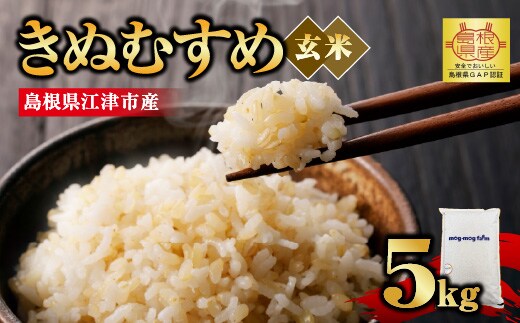 【先行予約】【R8年度産】島根県江津市 きぬむすめ 玄米 10kg MG-6｜ 島根県江津市産 国産 米 玄米 きぬむすめ ごはん ご飯 弁当 おにぎり 10キロ