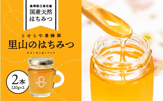 里山のはちみつ(120g×2本)セット 計240g RY-4 国産はちみつ はちみつ ハチミツ 蜂蜜